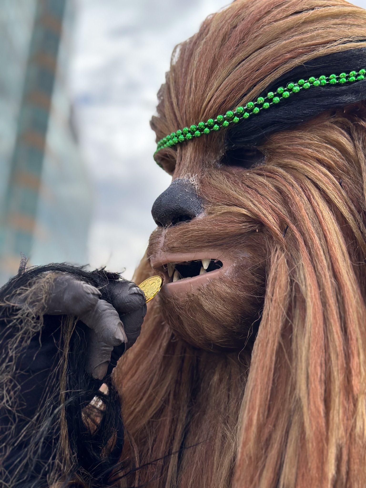 Photo 29 from St Patrick's Day Parade St Louis 2024