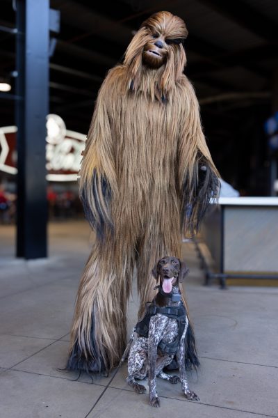 Photo 18 from Star Wars Night at Busch 2024