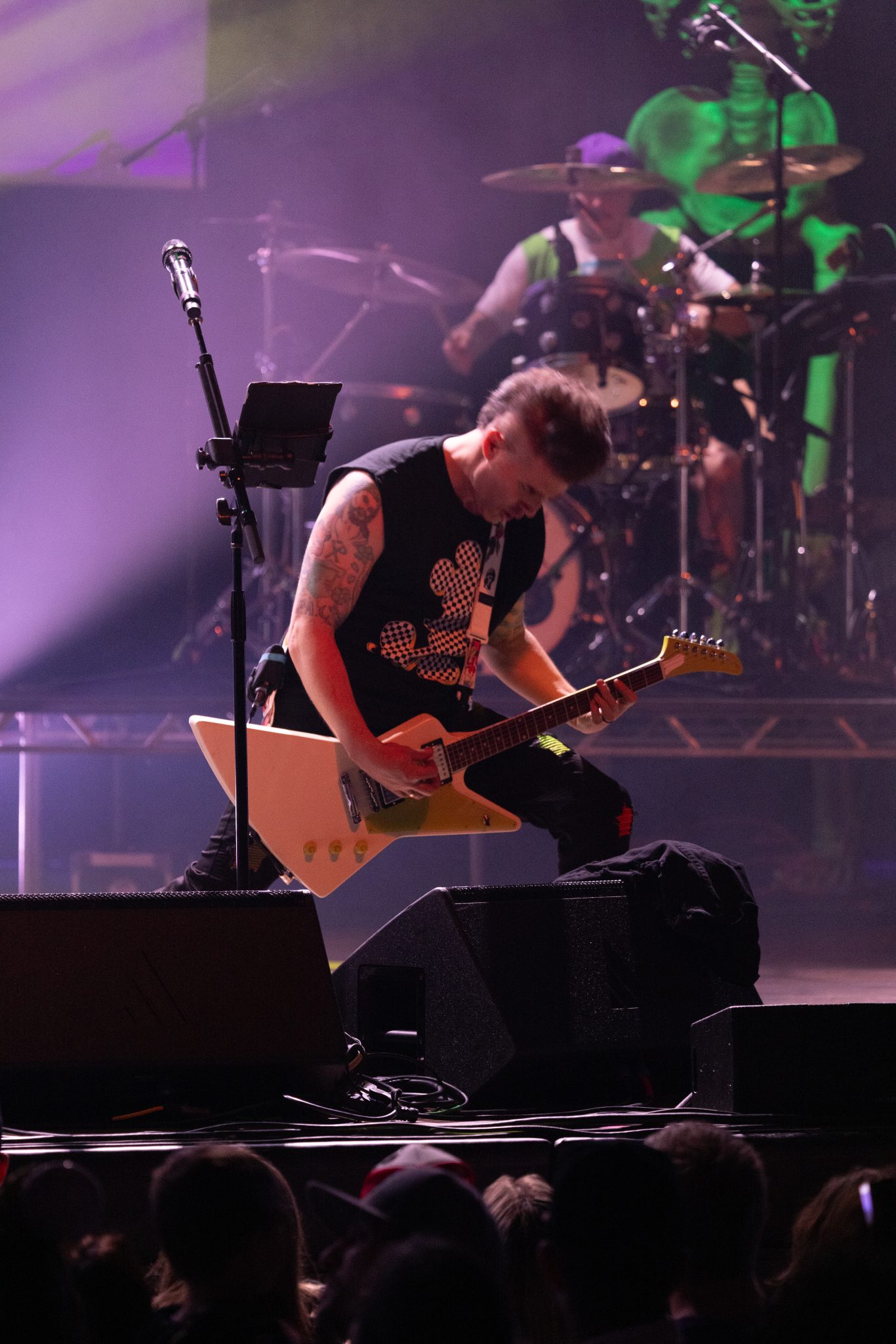 Photo 70 from Can You Feel The Punk Tonight