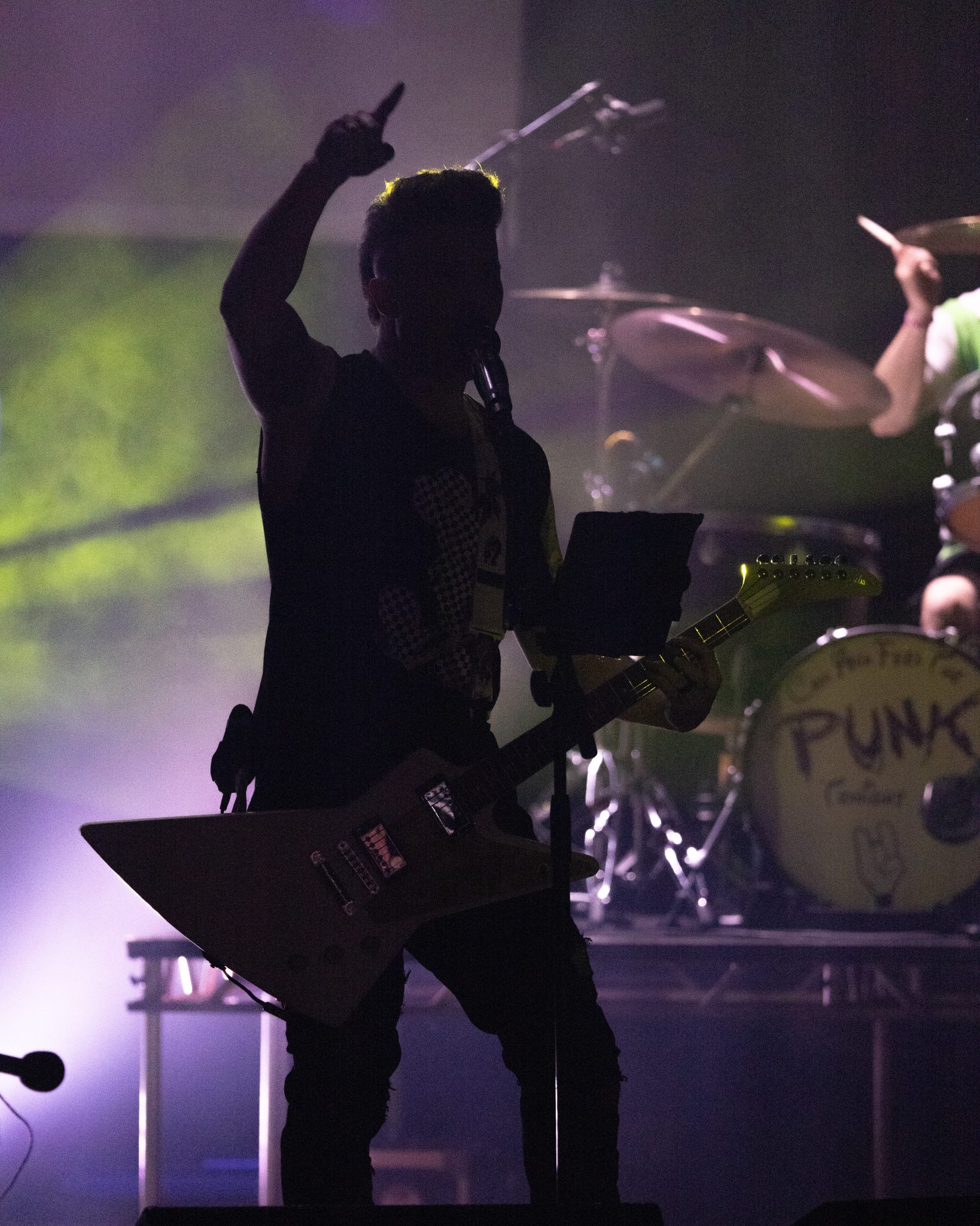 Photo 71 from Can You Feel The Punk Tonight