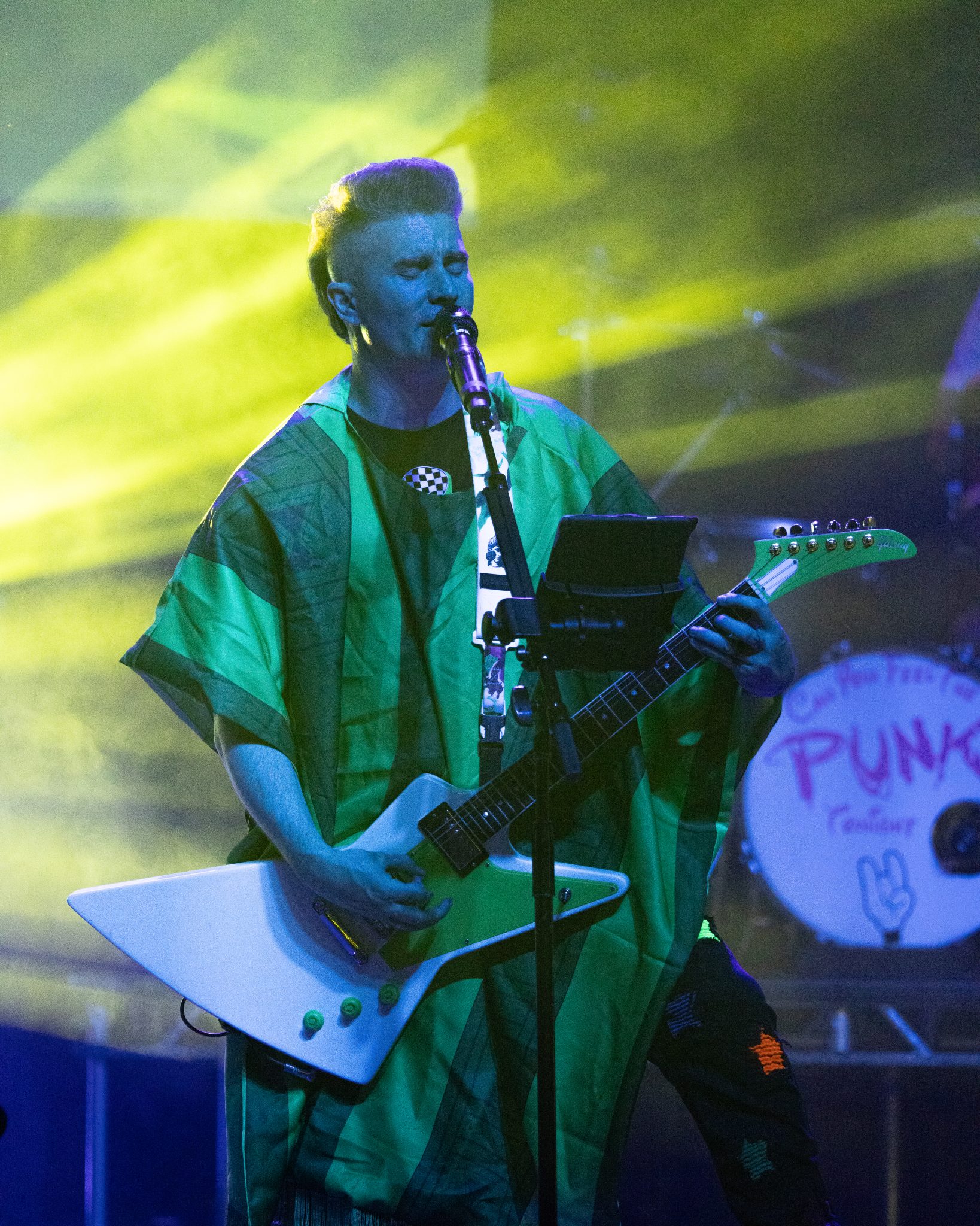 Photo 72 from Can You Feel The Punk Tonight