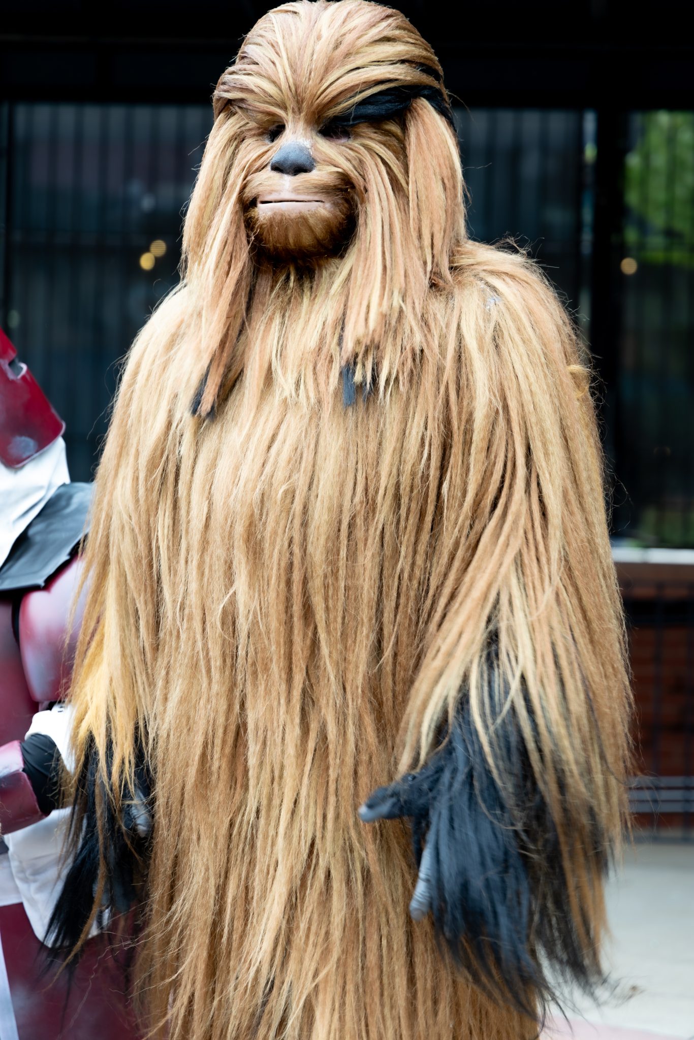 Photo 65 from Star Wars Day at Busch 2025