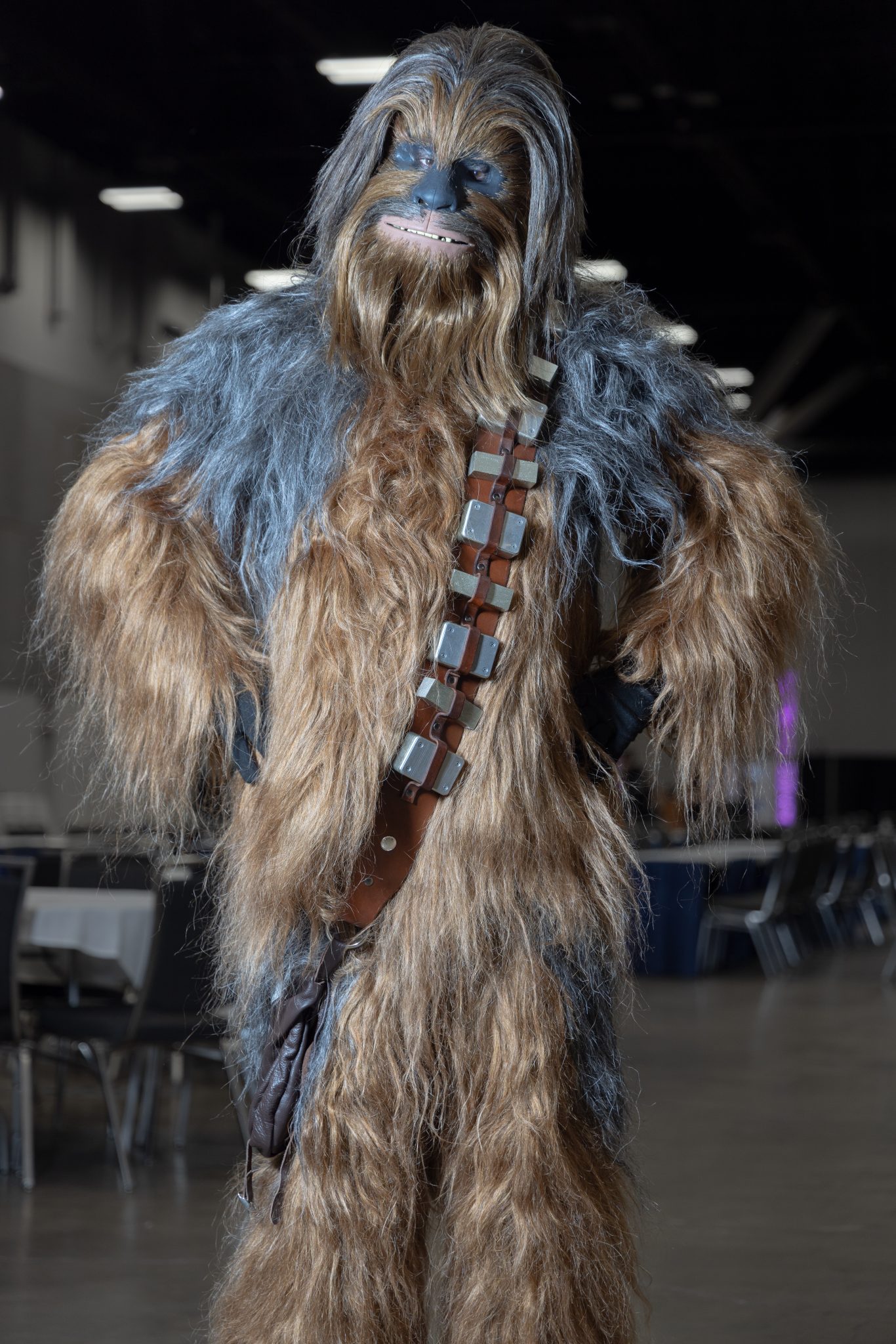 Photo 20 from GalaxyCon STL 2025