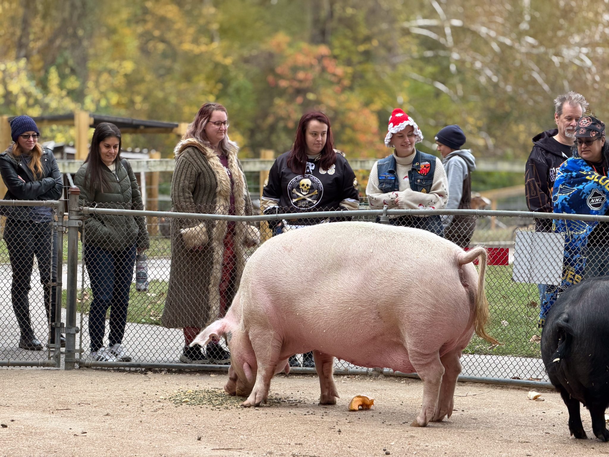 Photo 101 from 2025 Fall Picnic
